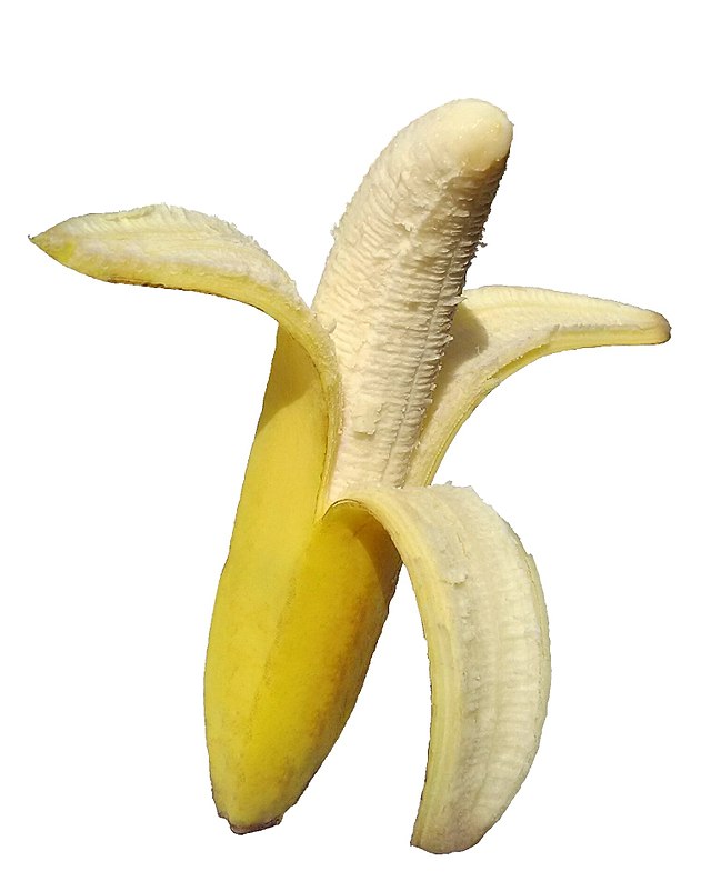 cocksucking phone sex